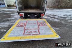 Renault Trucks D Wide
                                          320